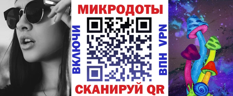 Галлюциногенные грибы Psilocybe  Катав-Ивановск 